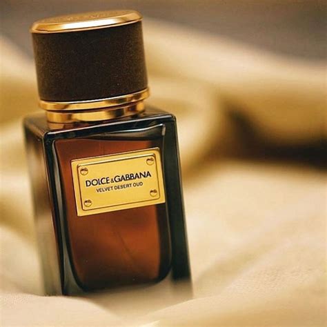 dolce gabbana super queen gold|dolce and gabbana velvet desert oud.